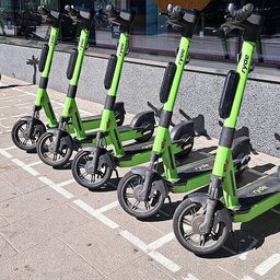 Trottinettes électriques vertes alignées sur des emplacements de stationnement