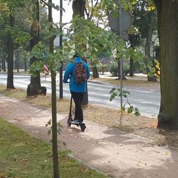 Conducteur en trottinette électrique sur une allée en bord de rue